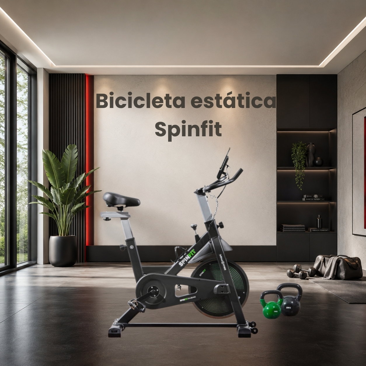 Bicicleta Eliptica Spinfit
